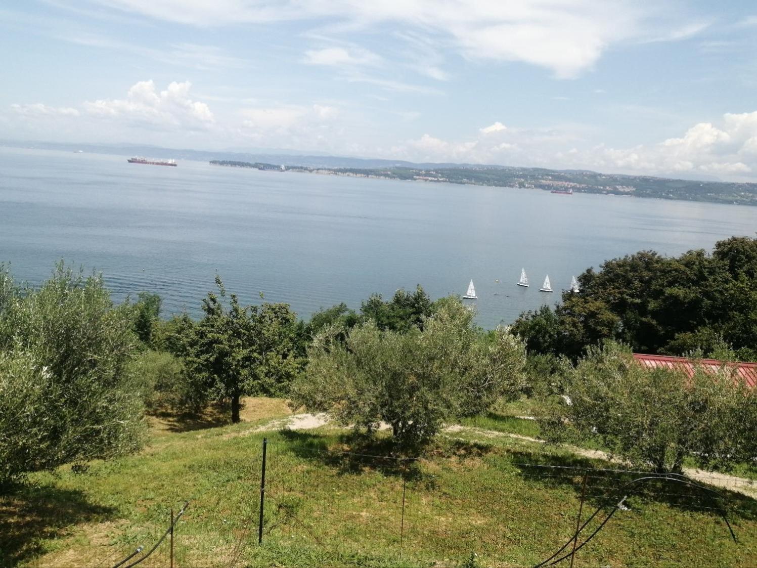 Apartma Panorama Apartman Koper városi község Kültér fotó